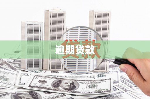 康县逾期贷款