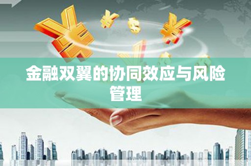 康县金融双翼的协同效应与风险管理