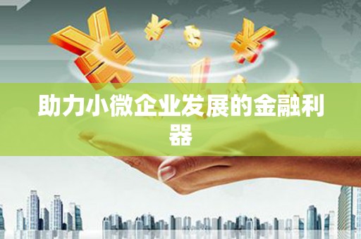 康县助力小微企业发展的金融利器