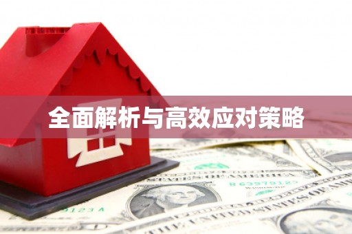 康县全面解析与高效应对策略