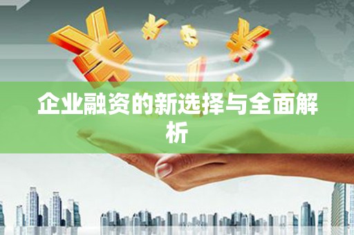 康县企业融资的新选择与全面解析