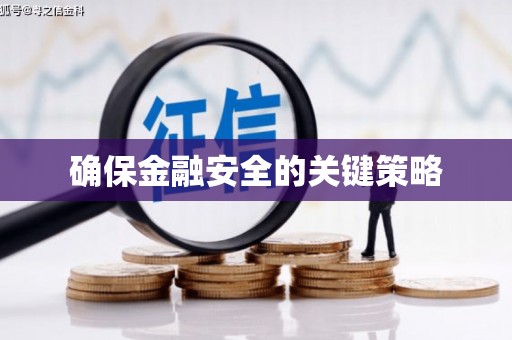 康县确保金融安全的关键策略
