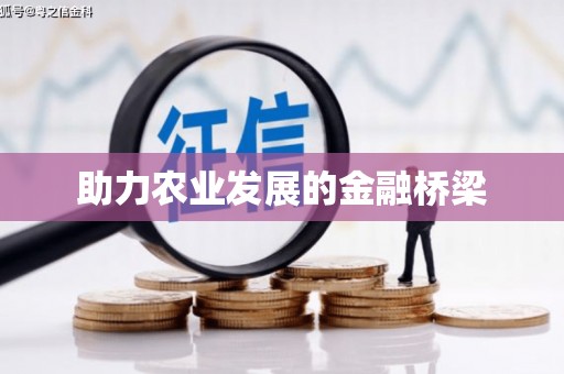 康县助力农业发展的金融桥梁