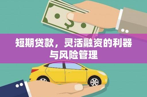 康县短期贷款，灵活融资的利器与风险管理