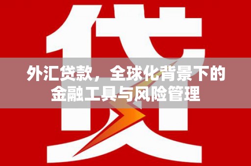 康县外汇贷款，全球化背景下的金融工具与风险管理