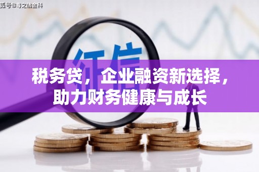 康县税务贷，企业融资新选择，助力财务健康与成长