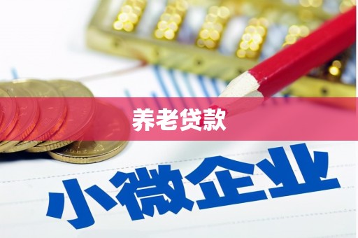 康县养老贷款