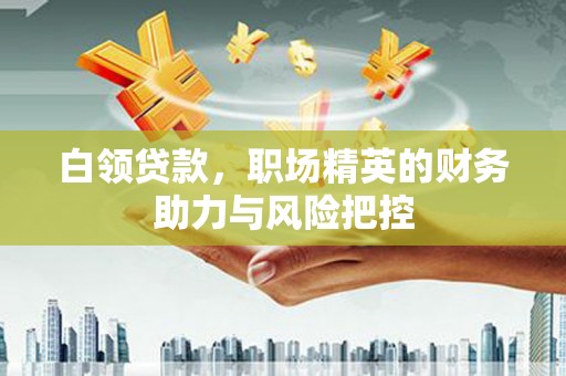 康县白领贷款，职场精英的财务助力与风险把控