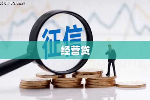 康县经营贷